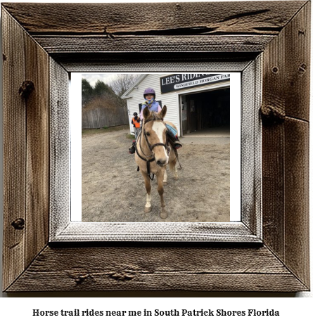 horse trail rides near me in South Patrick Shores, Florida